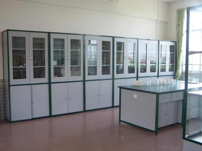 供应学校实验室化学仪器柜 物理 标本柜 化学 药品柜
