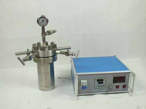 25-20l 高压实验室不锈钢高压灭菌器反应容器