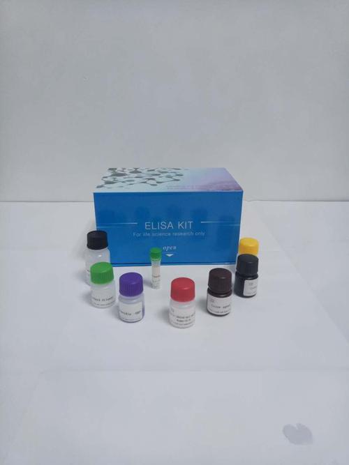小鼠β连环蛋白/联蛋白(β-cat)elisa试剂盒产品图片
