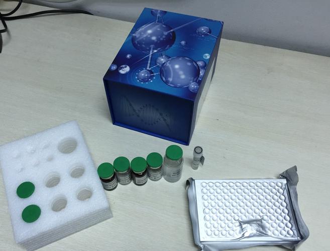 人纤维连接蛋白elisa试剂盒北京检测进口人fnelisakit厂家代测