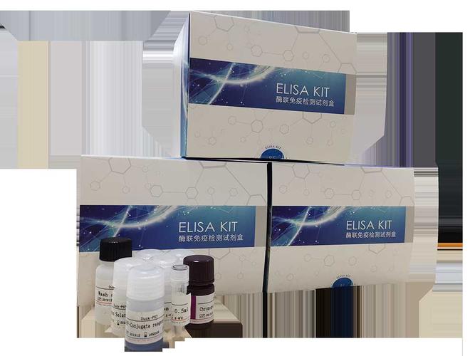 产品库 耗材 > 国产人8-羟基鸟嘌呤dna糖苷酶(hogg1)elisa试剂盒厂家