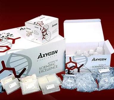 axygen ap-mn-p-50  质粒小量提取试剂盒  杭州销售