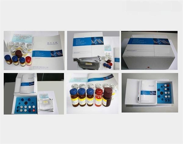 阿仪网 产品展厅 生物试剂 试剂盒 小鼠elisa试剂盒 > 小鼠周期素依赖