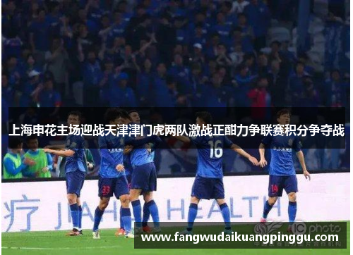 上海申花主场迎战天津津门虎两队激战正酣力争联赛积分争夺战