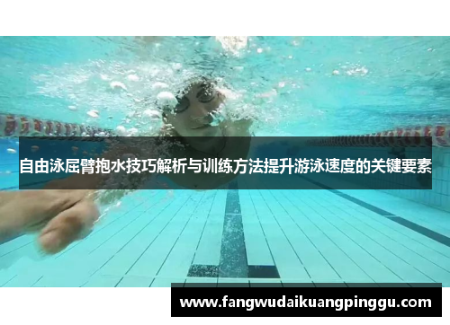 自由泳屈臂抱水技巧解析与训练方法提升游泳速度的关键要素
