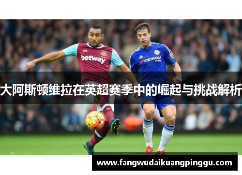 大阿斯顿维拉在英超赛季中的崛起与挑战解析